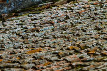 Detail of the old roof tiles