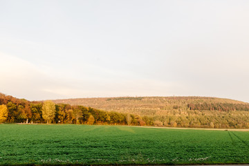 Field in Jülich