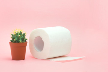 Hemorrhoid, constipation treatment health problems. Toilet paper an a cactus on the pink background. Hemorrhoid problems.
