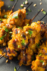 Homemade Thai Chicken Satay