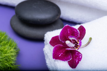 Wellness Relax concept with Spa elements. Rolled up White Towels, Orchid, stacked Basalt Stones, and Dianthus Flowers on purple background.