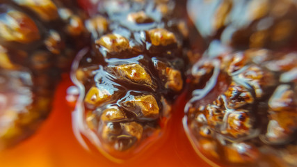 Young pine cones jam. Useful and tasty dessert. Traditional Siberian dessert