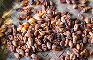 Drying of cocoa beans after harvest