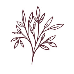 silhouette of branch with leaves on white background