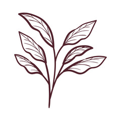 silhouette of branch with leaves on white background