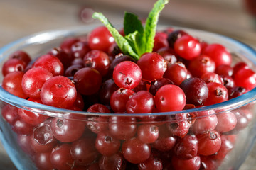 Cranberries in a glass plate close-up.