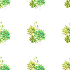 Vintage realistic seamless pattern with green realistic succulent pattern seamless on colorful background for cover design. Colorful seamless mexican style pattern.
