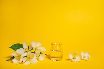 Spa natural cosmetic concept. Yellow background with copy space for text.