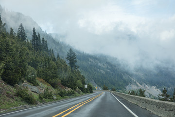 Fototapeta premium Road in Washington state forest
