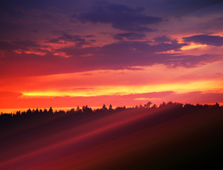 Fototapeta na wymiar Dramatic light rays over the sunset forest landscape background