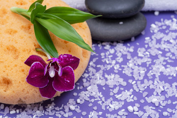 Obraz na płótnie Canvas Spa Wellness Concept. Natural Foam Bath & Shower Sea Sponge, stacked Basalt Stones, Bamboo, Orchid Flower and Lavender Epsom Salt on purple background