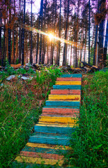 Vertical colorful staircase leading to burned forest background