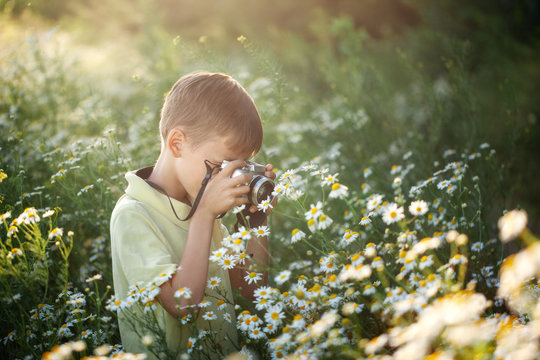 Cute boy photographer shoots on camera in nature. Kid takes a photo in the camomile flowers field.