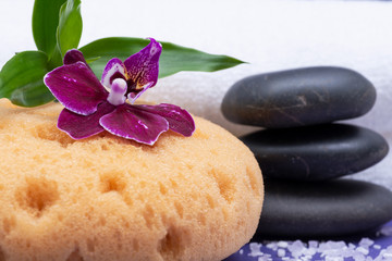 Spa Wellness Concept. Natural Foam Bath & Shower Sea Sponge, stacked Basalt Stones, Bamboo, Orchid Flower and Lavender Epsom Salt on purple background