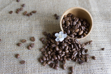 Coffee beans with a high aroma, cherry blossom
