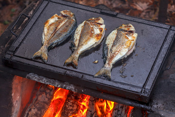 Sea bream fish on barbeque