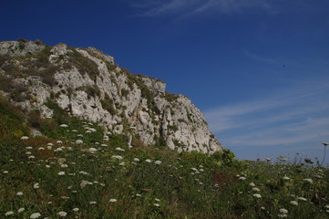 Felsen und Wildblumenwiese auf Sizilien