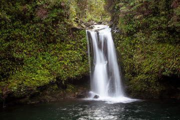 Fototapeta na wymiar Waterfall in the Jungle Forest