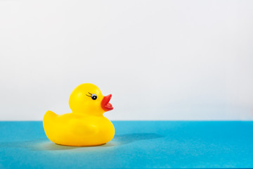 Juguete de Patito amarillo de goma en superficie azul y fondo blanco, vista lateral