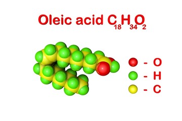 Structural chemical formula and molecular model of oleic acid. It is a monounsaturated fatty acid that occurs in various animal and vegetable fats and oils. 3d illustration