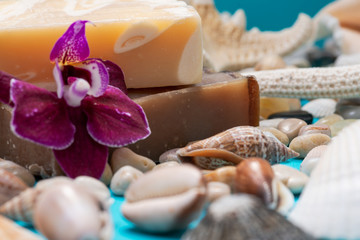 Handmade moisturizing Almond and Frankincense & Myrrh Goat's Milk Soap Bars decorated with small Pebbles, Sea Stars and Sea Shells on blue background.