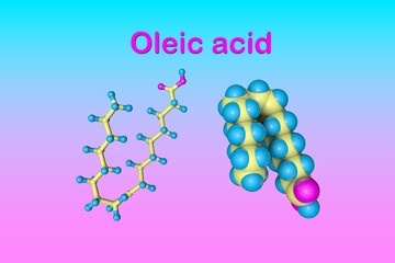 Molecular model of oleic acid. It is a monounsaturated fatty acid that occurs in various animal and vegetable fats and oils. 3d illustration
