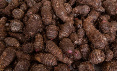 Ñame , Manihot esculenta (YUCA ) market of valladolid, Mexico