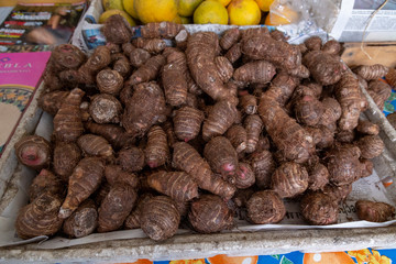 Manihot esculenta (YUCA ) market of valladolid, Mexico