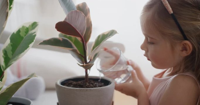 little girl watering plant at home giving water nurturing growth child enjoying responsibility for nature 4k