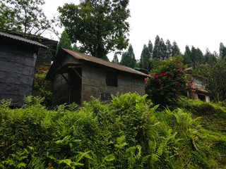 A house in Meghalaya