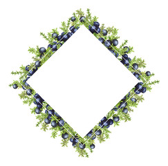 Diamond-shaped frame with black forest northern berries of the crowberry, painted in watercolor. Ideal for wedding invitations, cards, logos