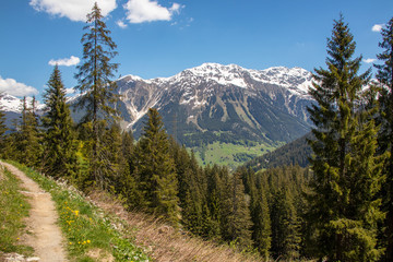 View of a hiking trail through woods and meadows in the Swiss Alps in the Davos / Kloster area.