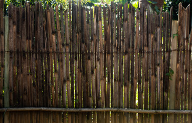 bamboo fences