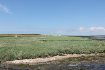 Naturlandschaft auf der Nordseeinsel Amrum