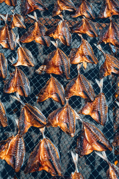 dried fish sun bath pattern asian cousine concept