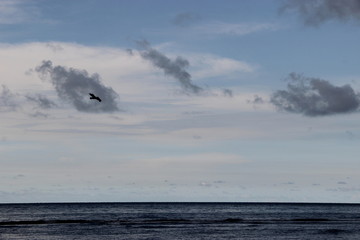 sea and blue sky