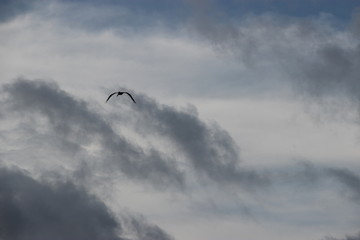 clouds in the sky
