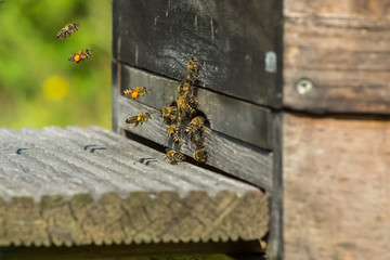 Gedränge (1) © Bernd