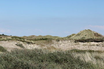 Blick über die Dünenlandschaft der Nordseeinsel Amrum