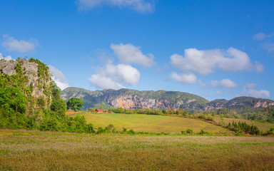 Vinales National Park, UNESCO, Pinar del Rio Province, Cuba.