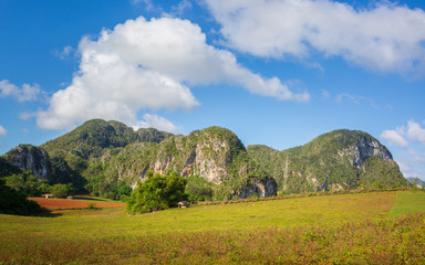 Vinales National Park, UNESCO, Pinar del Rio Province, Cuba.