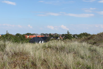 Blick über die Nordseeinsel Amrum Richtung Wittdün