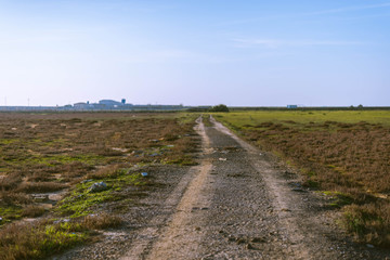 Fototapeta na wymiar Path to the horizon in the marsh.