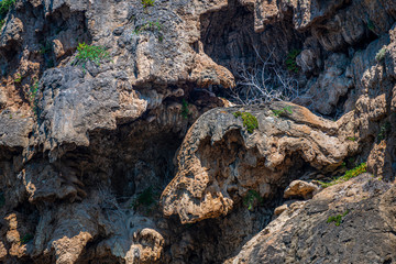 Landscape in Antalya ,Turkey