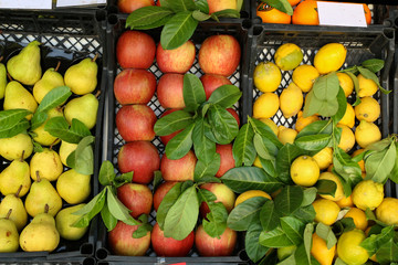 Various fruits for sale in a market in Croatia
