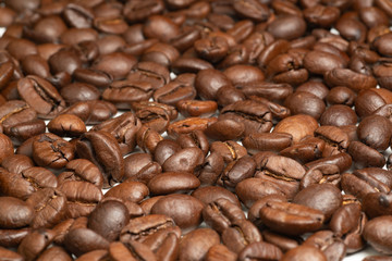 Roasted coffee beans on a white background