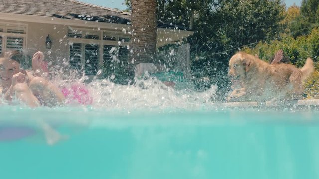 funny little girl jumping in swimming pool splashing friend on swim tube playful dog having fun with kids enjoying summer day 4k
