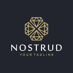 Diamond logo design concept.