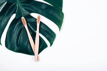 Two bamboo toothbrushes on tropical plant leaf monstera on white background. Plastic free concept.