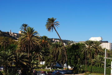 Fototapeta na wymiar Jardin Alger